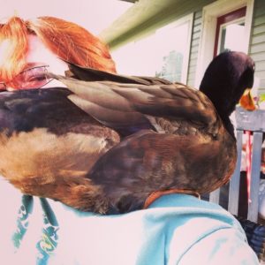 A duck on my shoulder