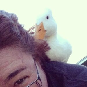 Duck on my back