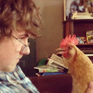The chicken who saved a boy