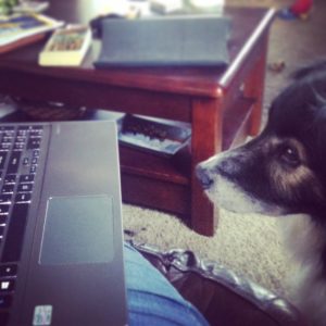 The Aussie does the blogging for me