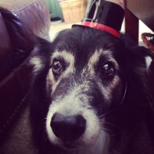 Senior Aussie in a hat