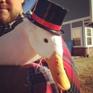 Duck in a hat