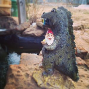 Godzilla and the Gnome