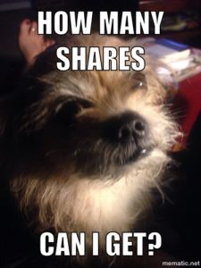 Share the Gadget dog