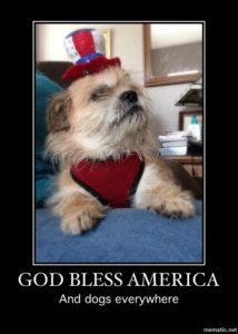 Give the patriotic dog a treat!