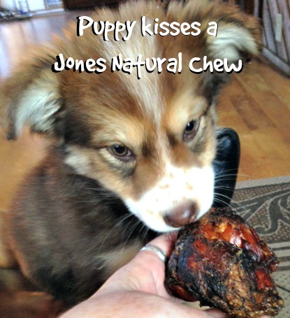 Puppy kisses a Jones Natural Chew