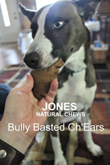 Bully Basted Ch'Earz from Jones Natural Chews