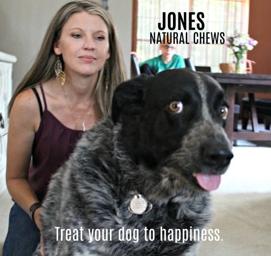 Kato Jack - one of the many dogs of Jones Natural Chews