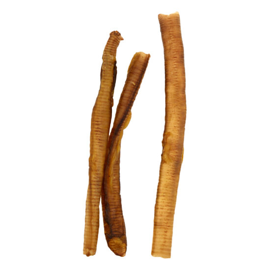 Turkey Windees - Medium
