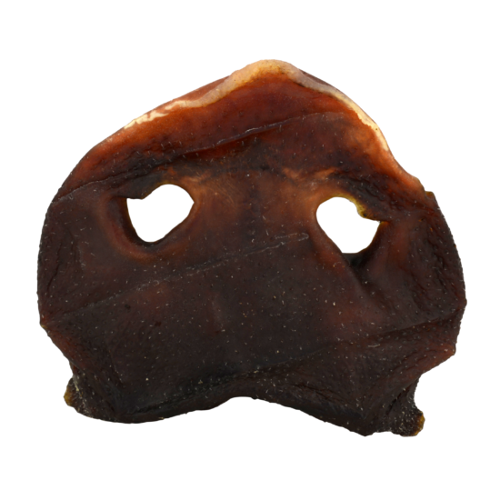 Pig Snouts