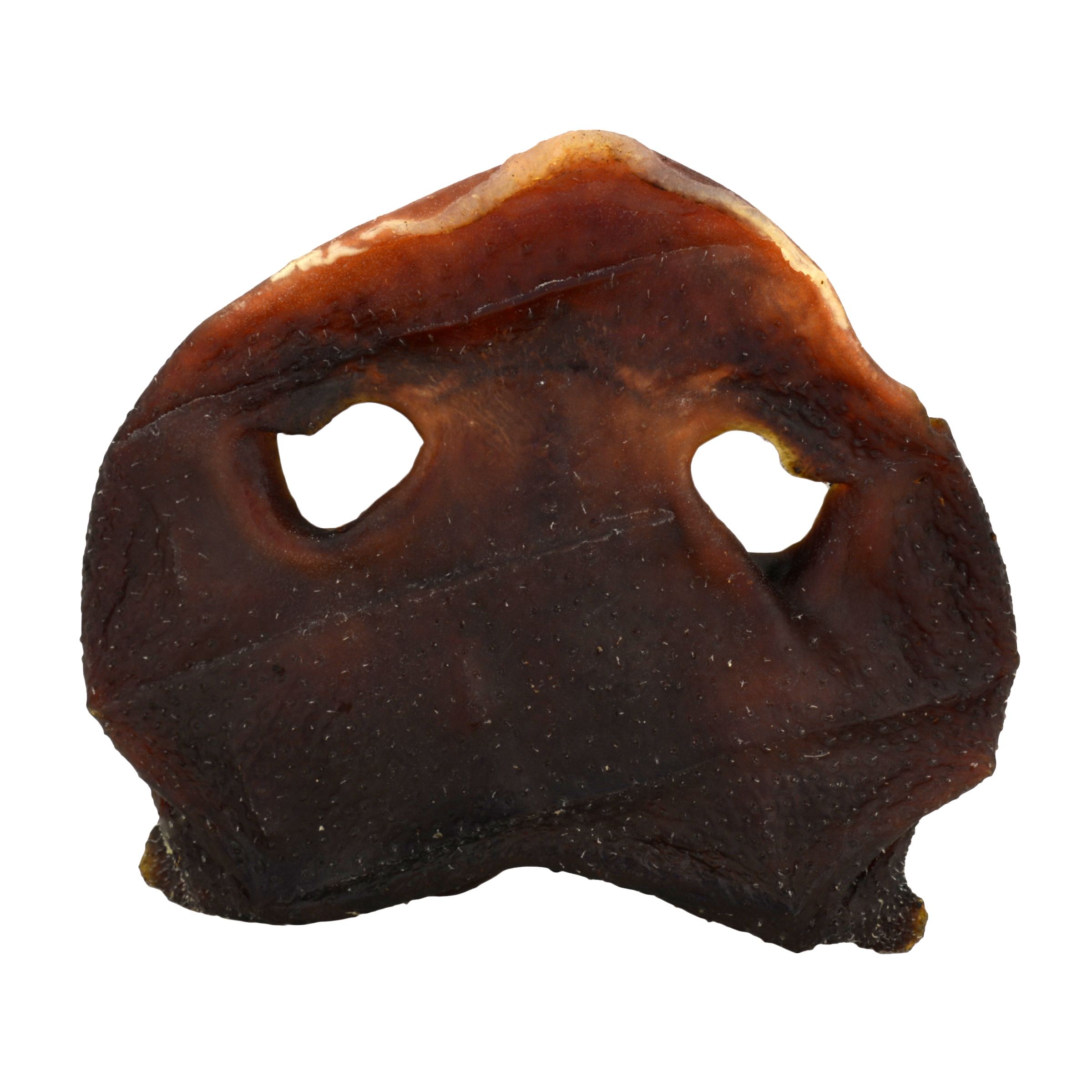Pig Snouts